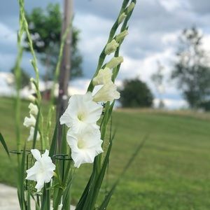 Meet your Posher, Krista